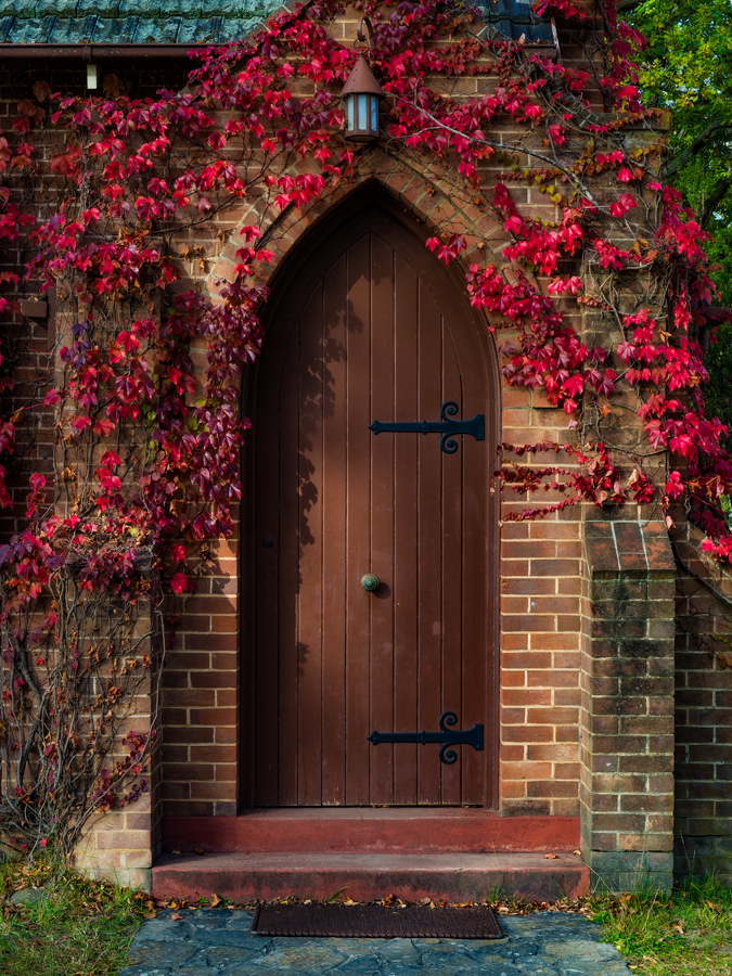 Autumn_Arch900.jpg