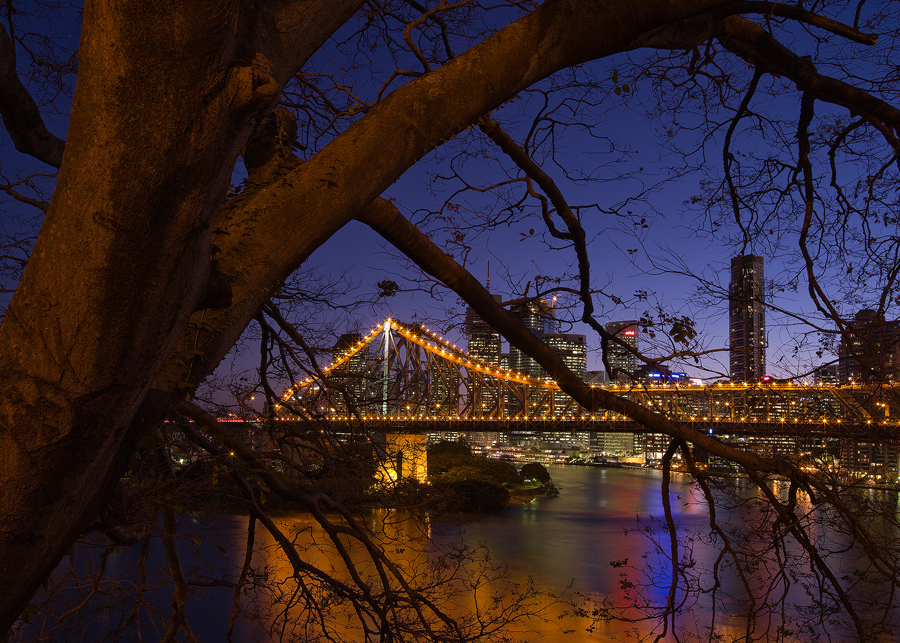 Brisbane_in_the_trees500.jpg