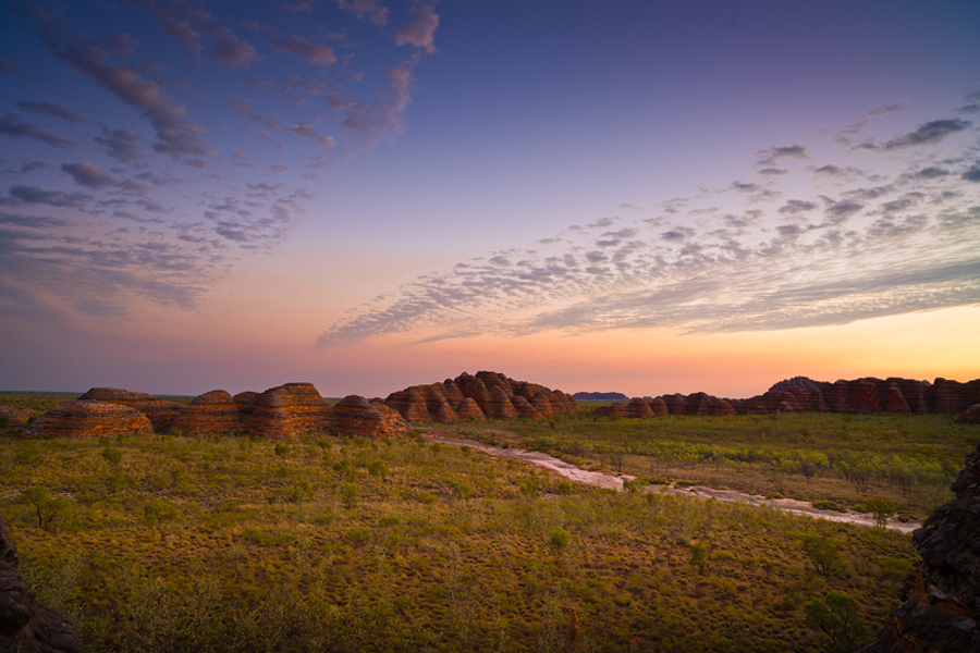 Bungles500.jpg