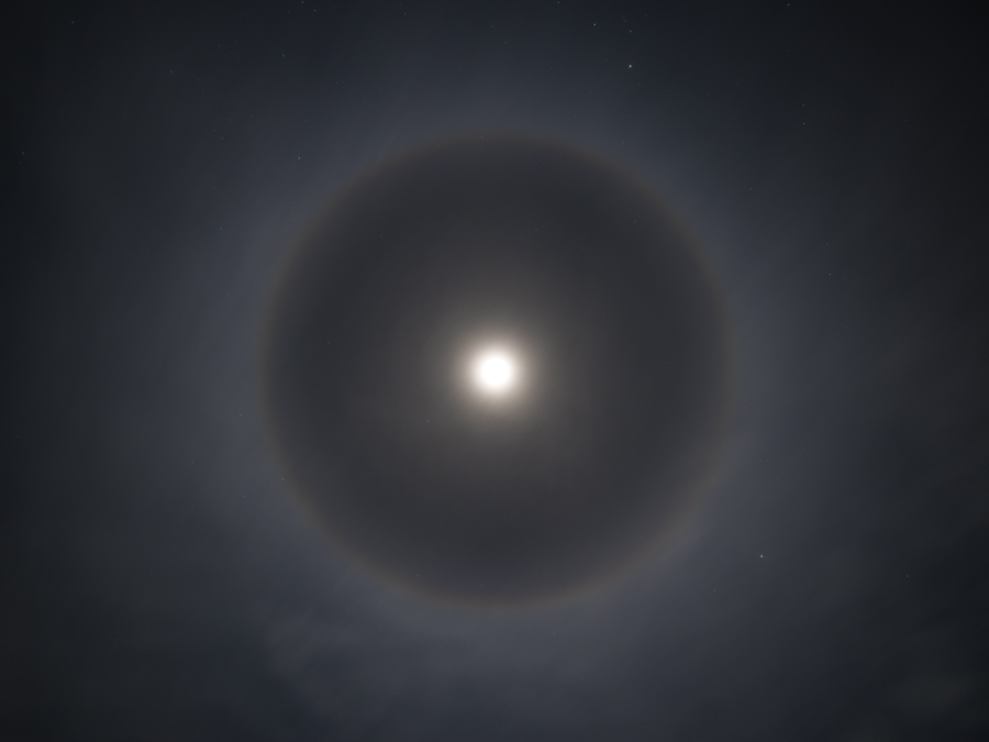 Dog_Moon.jpg