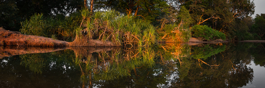 Elquestro_Reflection500t.jpg