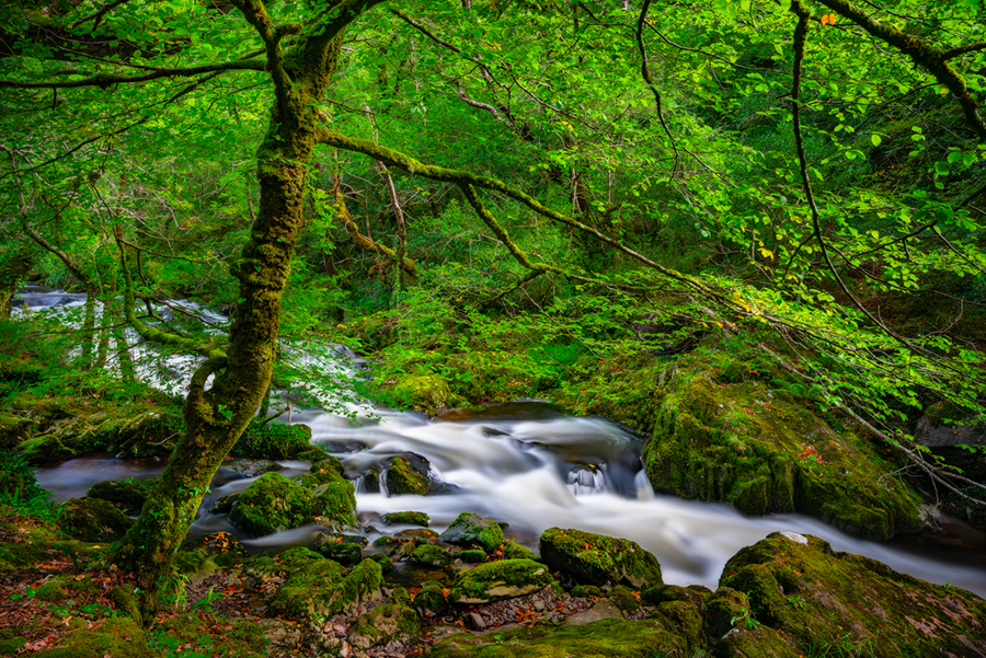 Glengariff_Stream.jpg