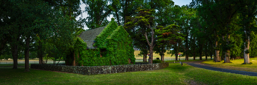 Gostwyck_Chapel_Summer_.jpg