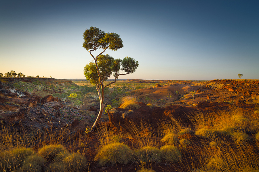 Light_on_the_Cliff500.jpg