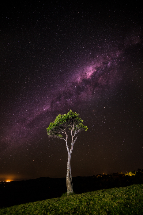 OneTreeUndertheStars.jpg