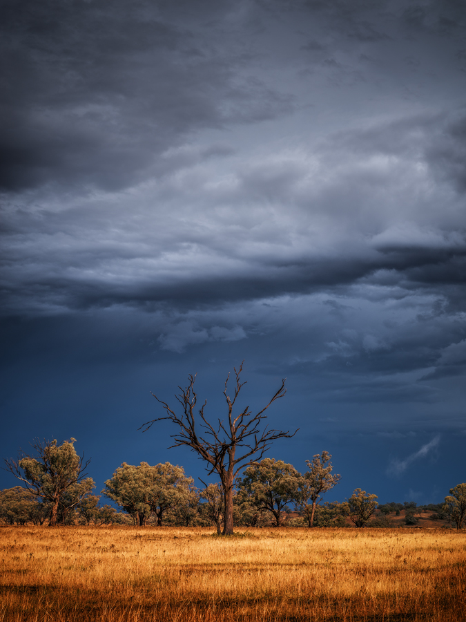 Outback_Relic.jpg