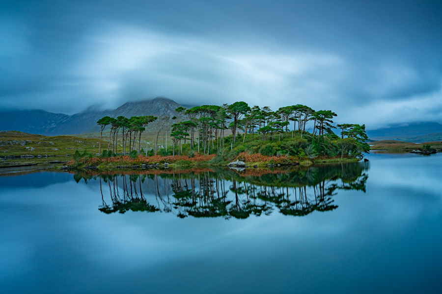 Pine_Island_Blue900.jpg