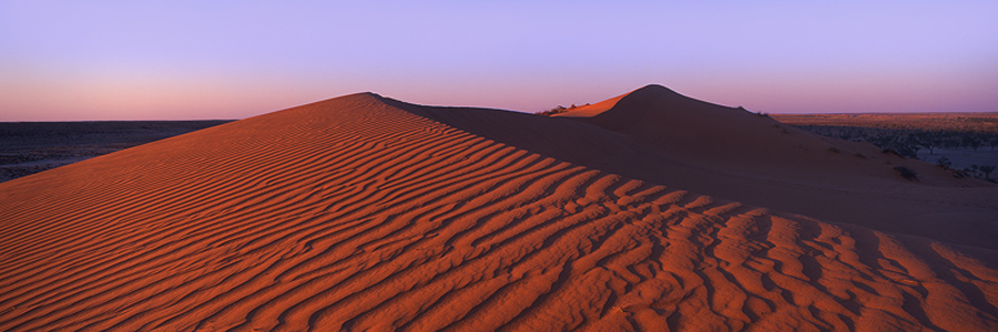 bm_51_Golden_Hour.jpg