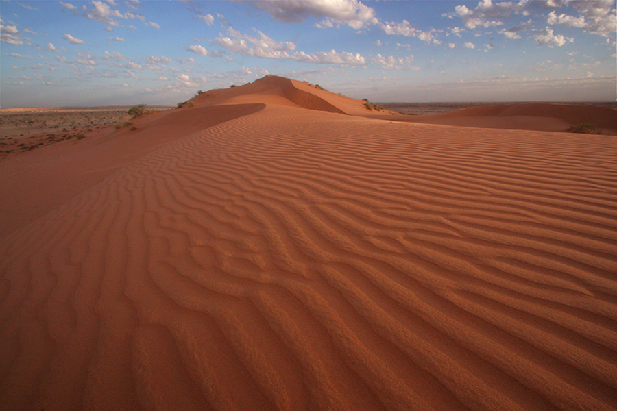 bm_54_Dusk_1.jpg