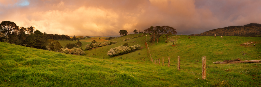 countrysunrise500.jpg