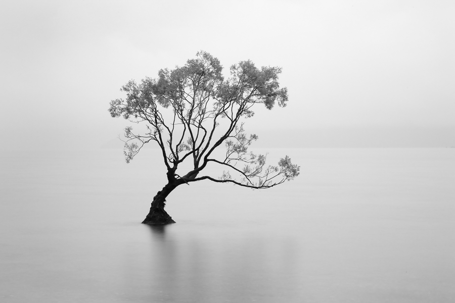 wanaka500.jpg