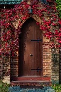 Autumn_Arch900.jpg