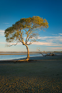 Beachmere_Light900.jpg