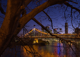Brisbane_in_the_trees500.jpg