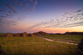 Bungles500.jpg