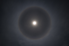 Dog_Moon.jpg