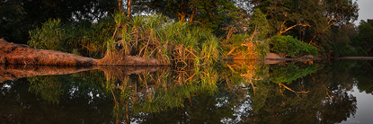 Elquestro_Reflection500t.jpg