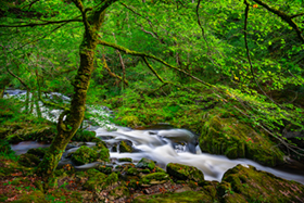 Glengariff_Stream.jpg