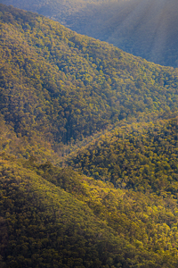 Golden_Hills900.jpg