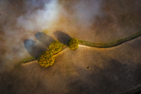 Gostwyck_in_the_Mist900.jpg
