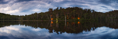 Karri_Vallery_Reflection500.jpg
