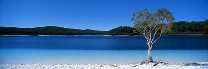 Lake_Mac.jpg