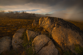 Light_and_Mist900.jpg