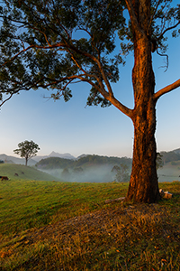 Mount_Warning_Sunrise900.jpg