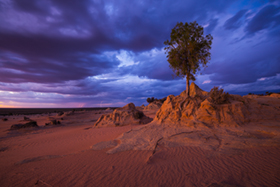 Mungo_Storm900.jpg