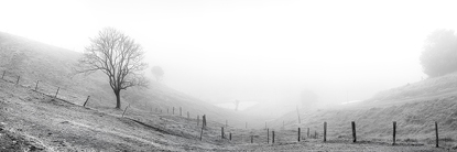 Rolling_Hills_Malaney500.jpg