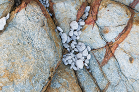 Stones_1770.jpg