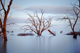 afternoonlight500.jpg