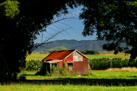 bm_01_tinaroo_shack.jpg