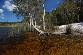brownlake.jpg