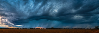 crawlingstorm500.jpg