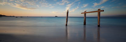 hamlin_bay_WA_500.jpg