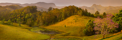 hillsofgold500.jpg