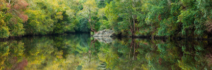 lakereflection_kenilworth.jpg