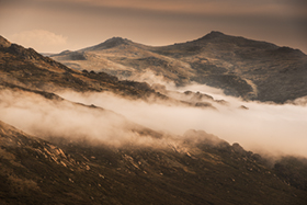 mountainmist500.jpg