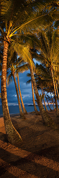 palmcove600b.jpg